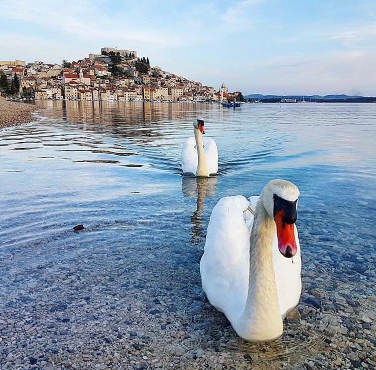 Sibenik Antique Studio Apartment - Old Town Exterior foto